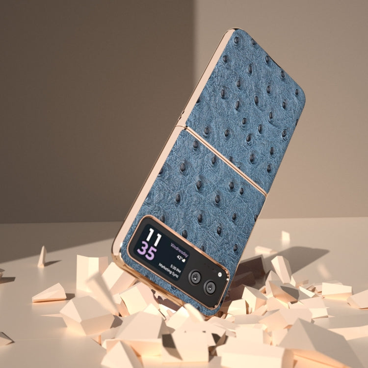 For Motorola Razr 40 Nano Plating Genuine Leather Ostrich Texture Phone Case(Blue) - Motorola Cases by PMC TechLife | Online Shopping South Africa | PMC TechLife | Buy Now Pay Later Mobicred