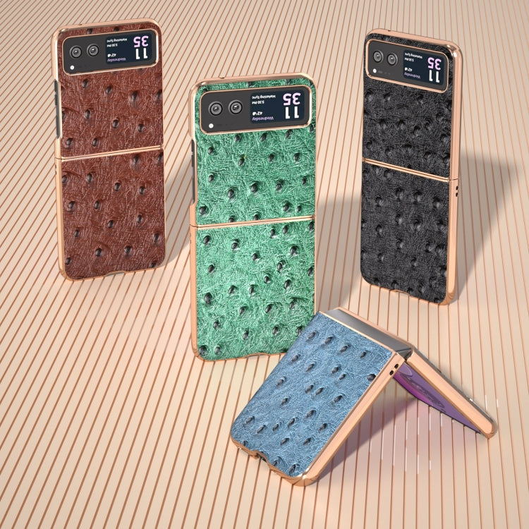 For Motorola Razr 40 Nano Plating Genuine Leather Ostrich Texture Phone Case(Coffee) - Motorola Cases by PMC TechLife | Online Shopping South Africa | PMC TechLife | Buy Now Pay Later Mobicred