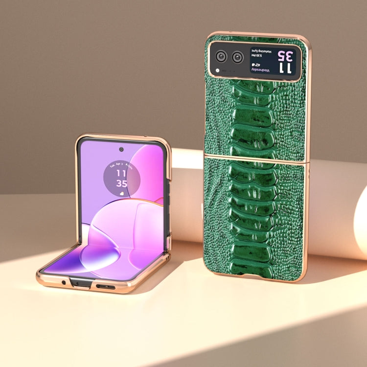 For Motorola Razr 40 Nano Plating Genuine Leather Weilai Series Phone Case(Green) - Motorola Cases by PMC TechLife | Online Shopping South Africa | PMC TechLife | Buy Now Pay Later Mobicred