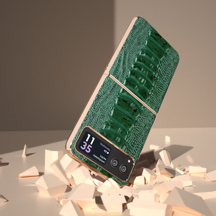 For Motorola Razr 40 Nano Plating Genuine Leather Weilai Series Phone Case(Green) - Motorola Cases by PMC TechLife | Online Shopping South Africa | PMC TechLife | Buy Now Pay Later Mobicred