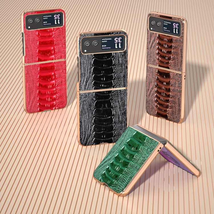 For Motorola Razr 40 Nano Plating Genuine Leather Weilai Series Phone Case(Green) - Motorola Cases by PMC TechLife | Online Shopping South Africa | PMC TechLife | Buy Now Pay Later Mobicred