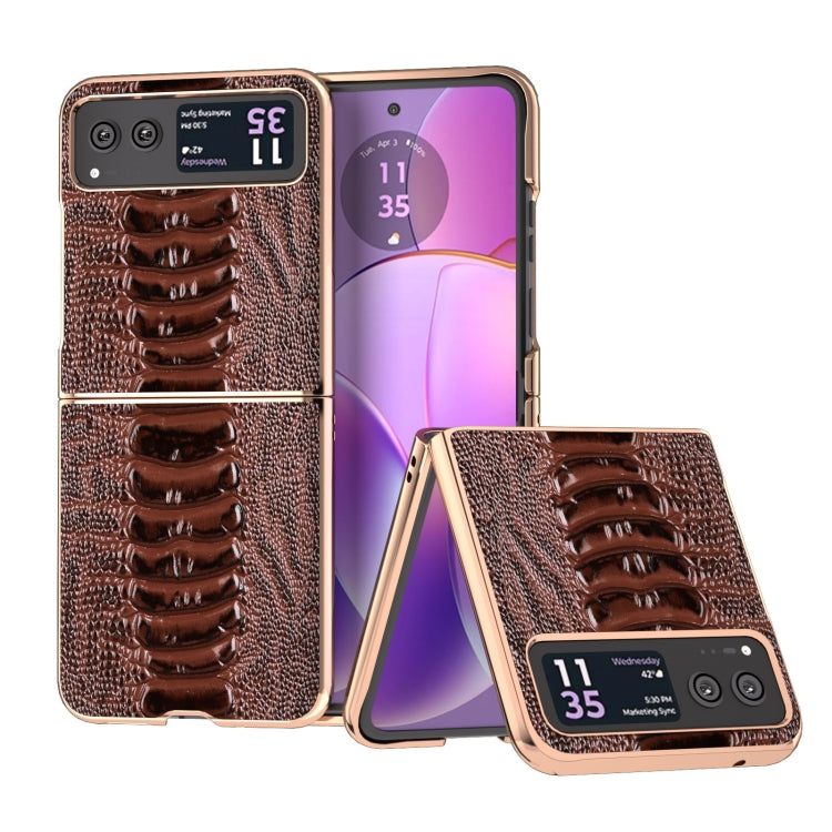 For Motorola Razr 40 Nano Plating Genuine Leather Weilai Series Phone Case(Coffee) - free shipping - PMC TechLife - Order now!