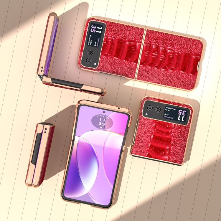 For Motorola Razr 40 Nano Plating Genuine Leather Weilai Series Phone Case(Red) - Motorola Cases by PMC TechLife | Online Shopping South Africa | PMC TechLife | Buy Now Pay Later Mobicred
