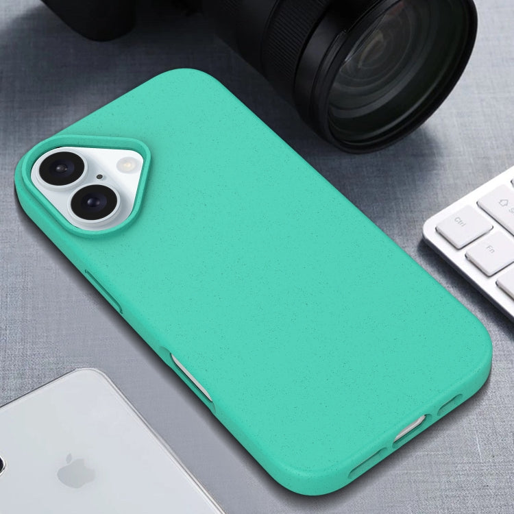 For iPhone 16 Plus Starry Series Shockproof Straw Material + TPU Protective Case(Starlight) - iPhone 16 Plus Cases by PMC TechLife | Online Shopping South Africa | PMC TechLife | Buy Now Pay Later Mobicred