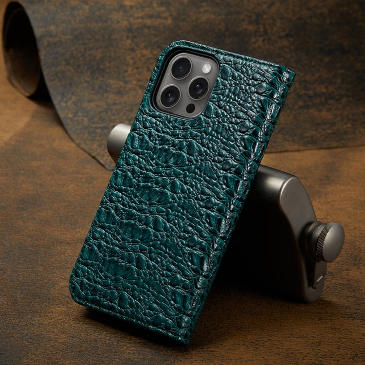 For iPhone 16 Pro Max Fierre Shann Crocodile Texture Magnetic Genuine Leather Phone Case(Green) - free shipping - PMC Jewellery - Order now!