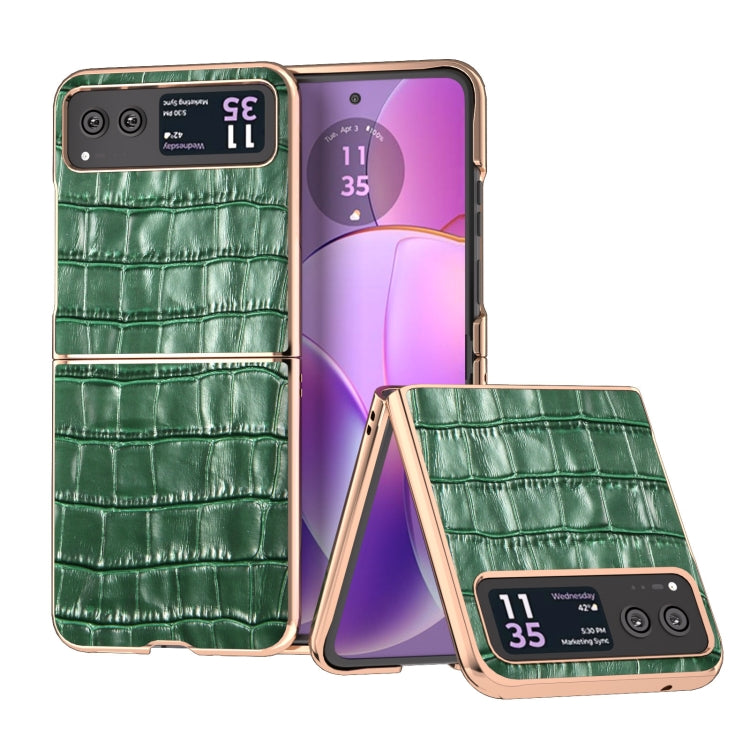 For Motorola Razr 40 Crocodile Texture Genuine Leather Electroplating Phone Case(Dark Green) - Motorola Cases by PMC TechLife | Online Shopping South Africa | PMC TechLife | Buy Now Pay Later Mobicred