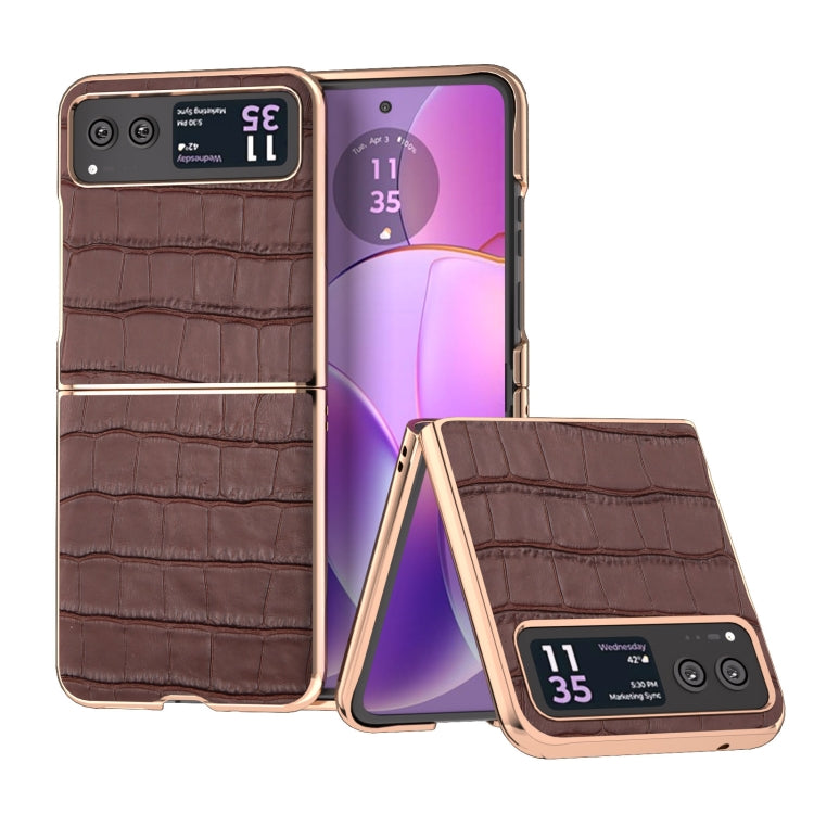For Motorola Razr 40 Crocodile Texture Genuine Leather Electroplating Phone Case(Brown) - Motorola Cases by PMC TechLife | Online Shopping South Africa | PMC TechLife | Buy Now Pay Later Mobicred