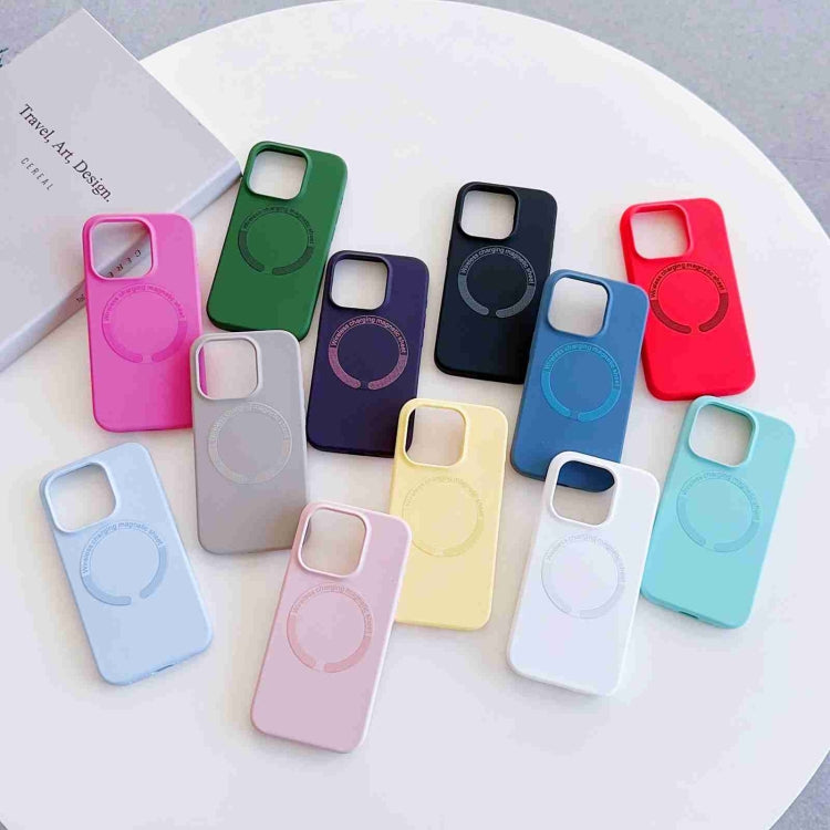 For iPhone 14 Pro MagSafe Magnetic Liquid Silicone Phone Case(Light Blue) - iPhone 14 Pro Cases by PMC TechLife | Online Shopping South Africa | PMC TechLife
