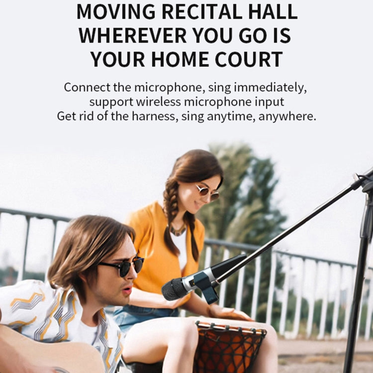 Oneder D7 Bluetooth Speaker Outdoor Karaoke Wireless Speakers With Two Mic(Black) - free shipping - PMC Jewellery - Order now!