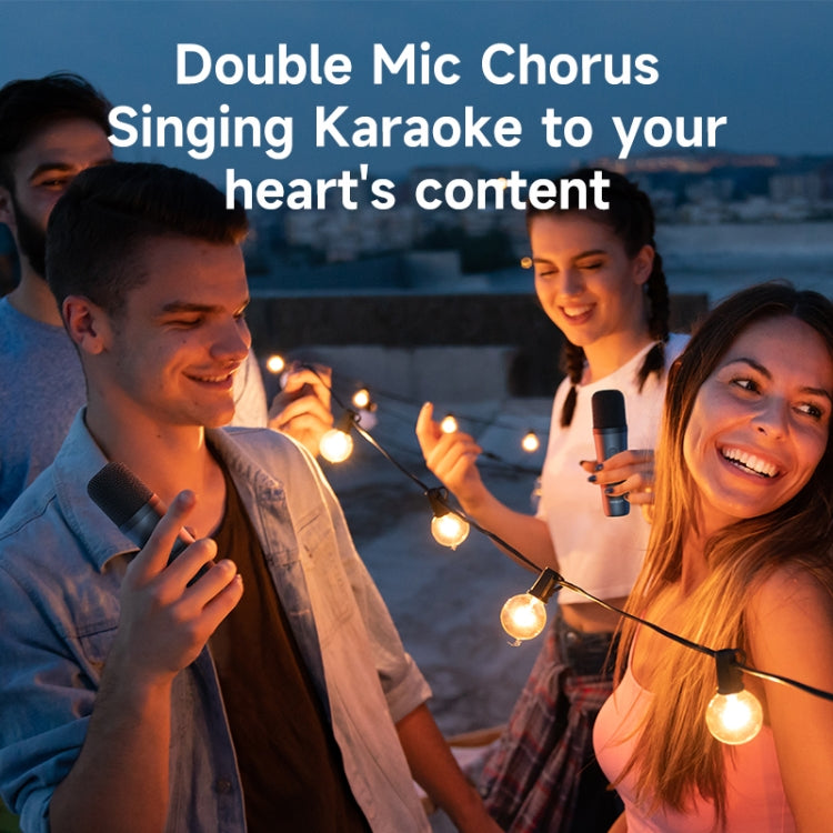 Zealot S66M RGB Rhythmic Light Karaoke Wireless Speaker, Style:Dual Mic(Black) - free shipping - PMC Jewellery - Order now!