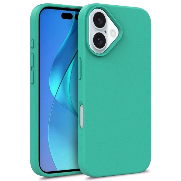 For iPhone 16 Wheat Straw TPU Phone Case(Green) - iPhone 16 Cases by PMC TechLife | Online Shopping South Africa | PMC TechLife | Buy Now Pay Later Mobicred