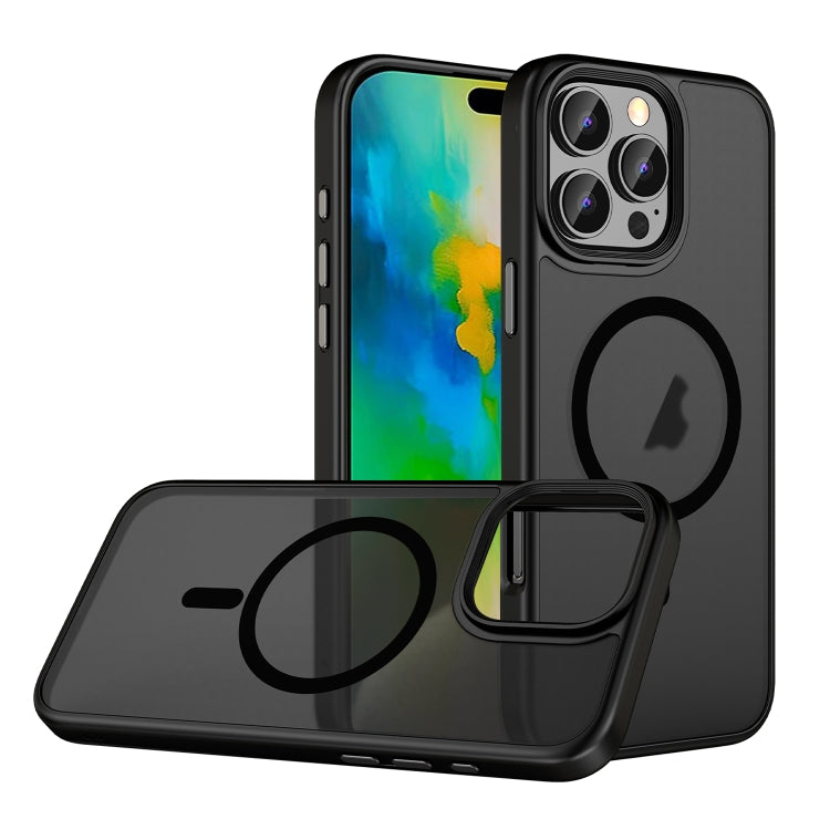 For iPhone 16 Pro Skin Feel Frosted MagSafe Magnetic Phone Case(Transparent Black) - iPhone 16 Pro Cases by PMC TechLife | Online Shopping South Africa | PMC TechLife | Buy Now Pay Later Mobicred