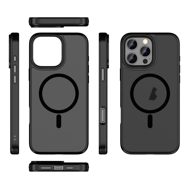 For iPhone 16 Plus Skin Feel Frosted MagSafe Magnetic Phone Case(Transparent Black) - iPhone 16 Plus Cases by PMC TechLife | Online Shopping South Africa | PMC TechLife | Buy Now Pay Later Mobicred