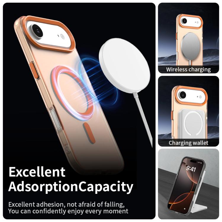 EDA007087725B_1.jpg@f0532655e593cd16426ac39dffb46f8d