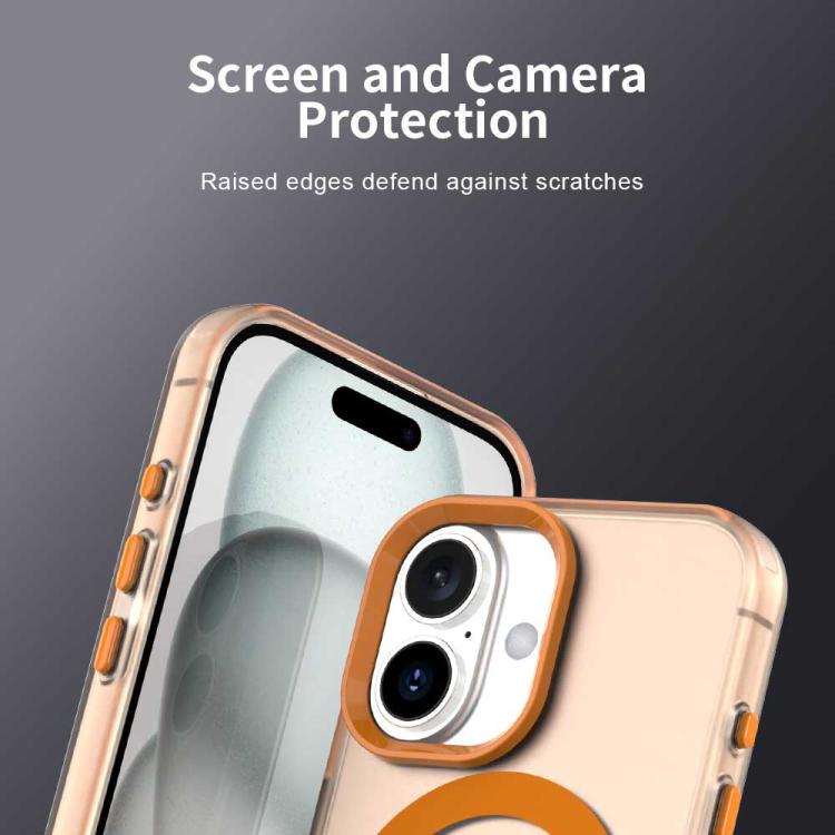 EDA007087726B_6.jpg@d761a9ab4b00ac868b4b54fe97d1b809