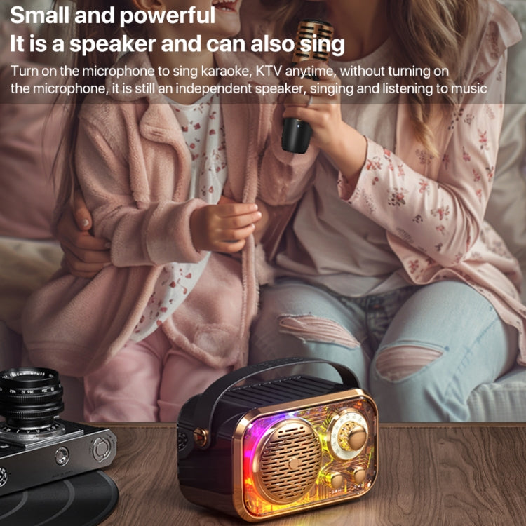 WEKOME WD-03 Meytang Karaoke Wireless Bluetooth Speaker(Black) - free shipping - PMC Jewellery - Order now!