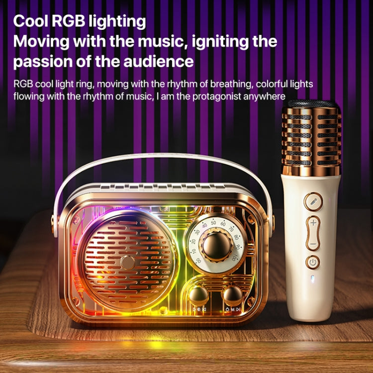 WEKOME WD-03 Meytang Karaoke Wireless Bluetooth Speaker(Black) - free shipping - PMC Jewellery - Order now!