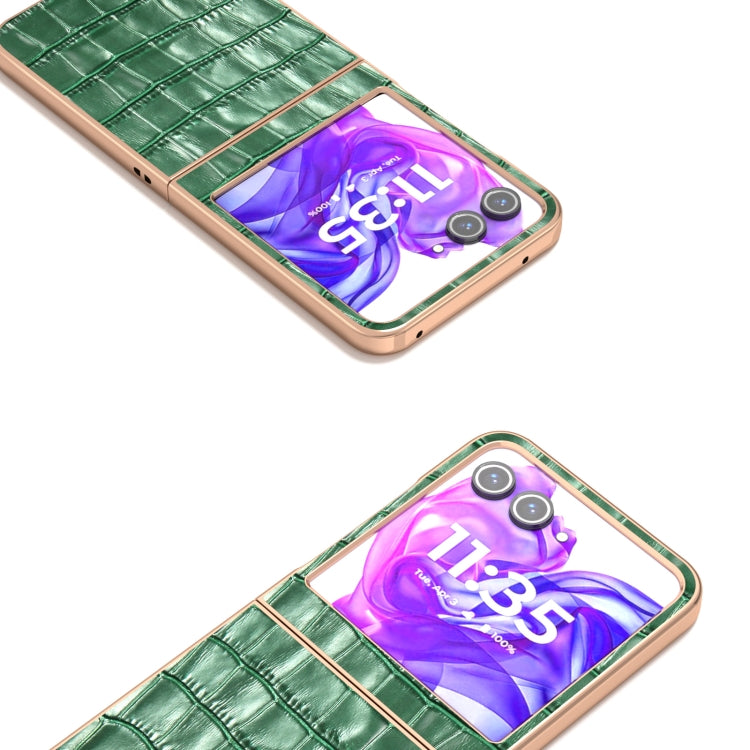 For Motorola Razr 50 ABEEL Electroplating Frame Crocodile Texture Genuine Leather Phone Case(Green) - free shipping - PMC TechLife - Order now!