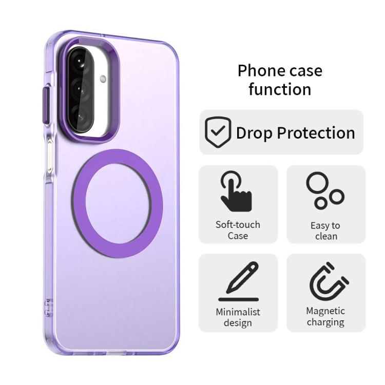 EDA007184915G_3.jpg@697e38c356fa1e0ba7ead99b5917c8b8