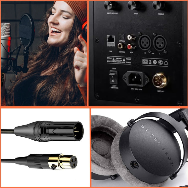 Mini XLR Female to XLR Female Audio Mixer Mini Microphone Coiled Audio Cable, Length: 0.5m(Black) - Microphone Audio Cable & Connector by PMC TechLife | Online Shopping South Africa | PMC TechLife | Buy Now Pay Later Mobicred