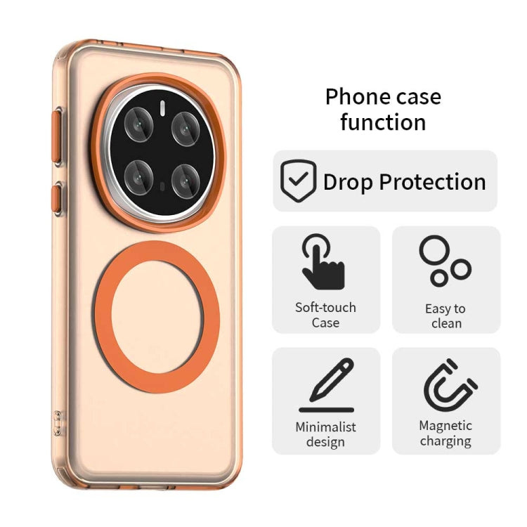 EDA007261702B_3.jpg@a45ee9e52200c1861476e05a8cf55b4c