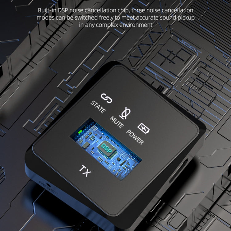 AP009 Wireless One to Two Lavalier Microphone with 3 in 1 Receiver(Black) - Microphone by PMC TechLife | Online Shopping South Africa | PMC TechLife | Buy Now Pay Later Mobicred