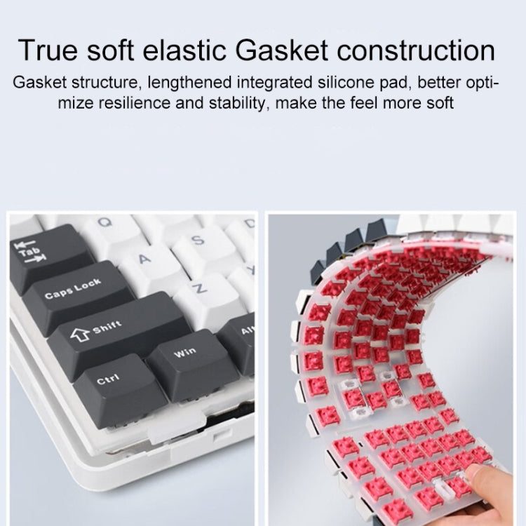 AULA F87 87 Keys Wired/2.4G/Bluetooth Three Model Customized RGB Mechanical Keyboard(Sea Salt Blue) - free shipping - PMC TechLife - Order now!