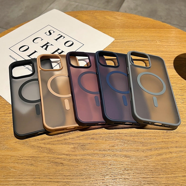 EDA0074249_B1.jpg@01e73dd511d20d7700ca8de76c377998