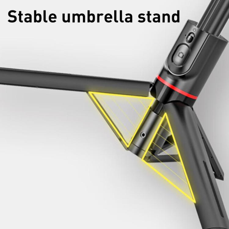 EDA007739501A_1.jpg@2987de06aa1c22fe3164a7981c94a639