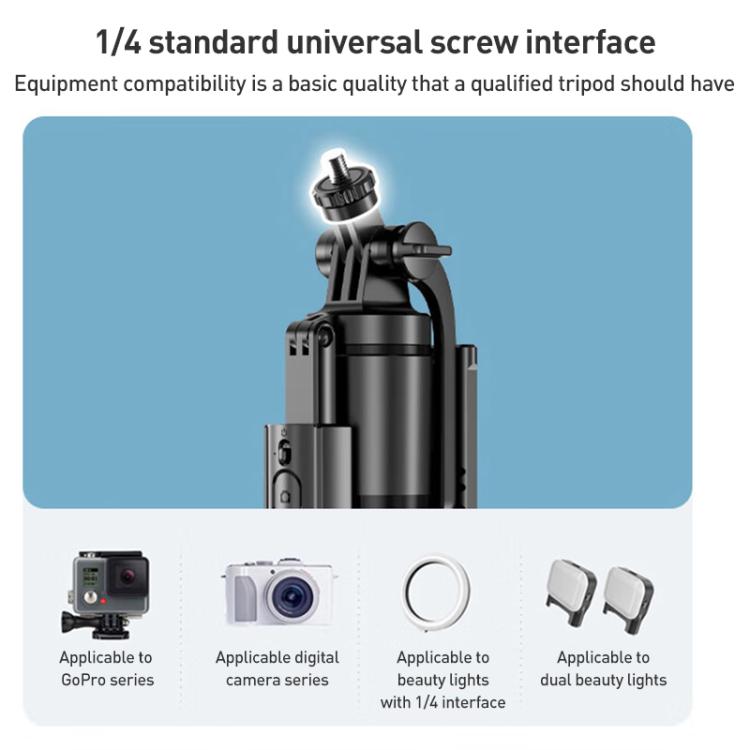 EDA007739901A_3.jpg@a1345fa601b462ce108a9f47753df742