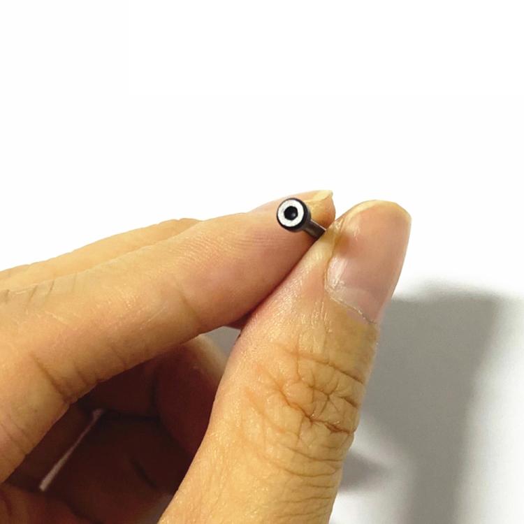 For Amazfit T-Rex 1 Pair Hex Socket Replacement Lug Rod with Screwdriver(Black) - For Amazfit by PMc TechLife | Online Shopping South Africa | PMc TechLife | Buy Now Pay Later Mobicred