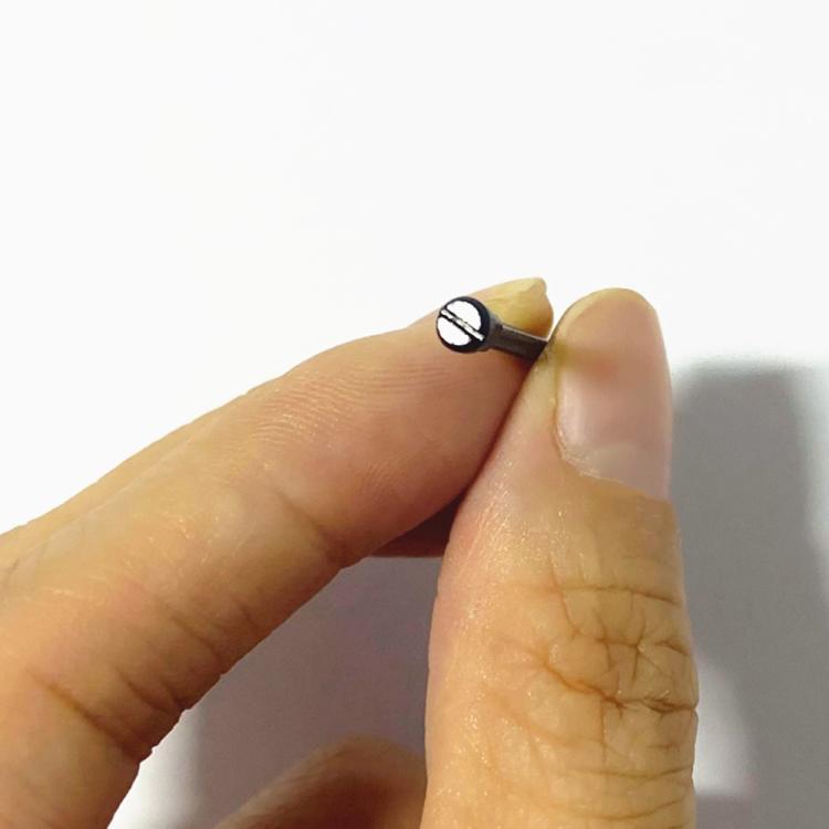 For Amazfit T-Rex 3 2pcs/Pair Flathead Watch Band Replacement Lug Rod with Screwdriver(Black) - For Amazfit by PMc TechLife | Online Shopping South Africa | PMc TechLife | Buy Now Pay Later Mobicred