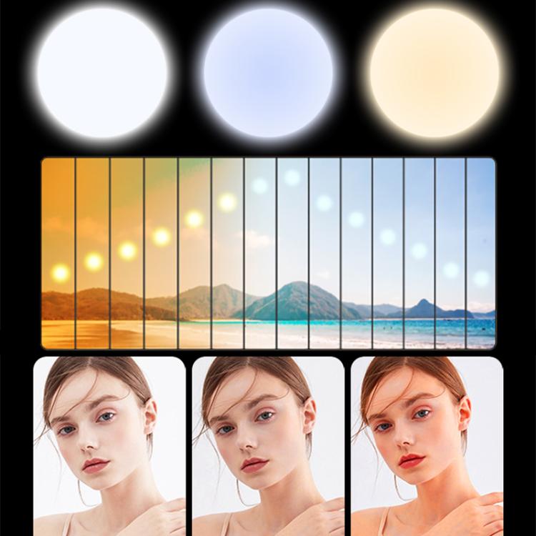 EDA0078489_B3.jpg@5f453529f25db1145b327b4a0b9340a7