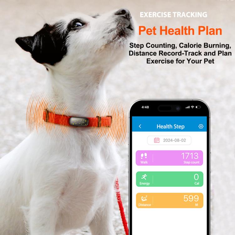 EDA007886401A_6.jpg@77cf99cc9379c6aa25bc632f2c0b8e1e