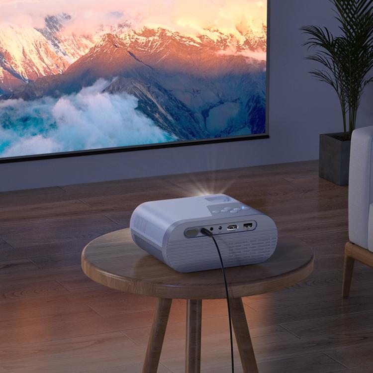 EDA008082901A_7.jpg@9af36ee674f5aee16d0aec1ec2fa1f22