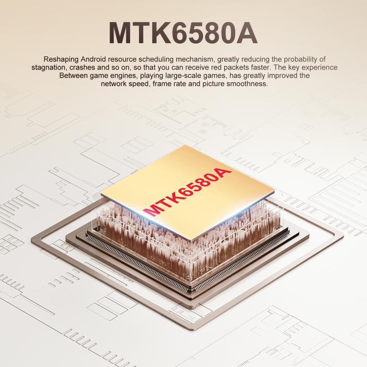 EDA0081050_B8.jpg@86a8296e3415788e9d6bdb8c5202a54b