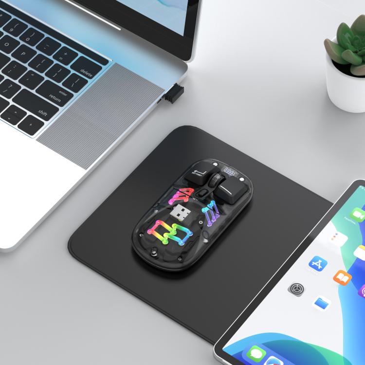 EDA008139501A_4.jpg@95abce9d92dfe8cfa8779e53708b1bd6