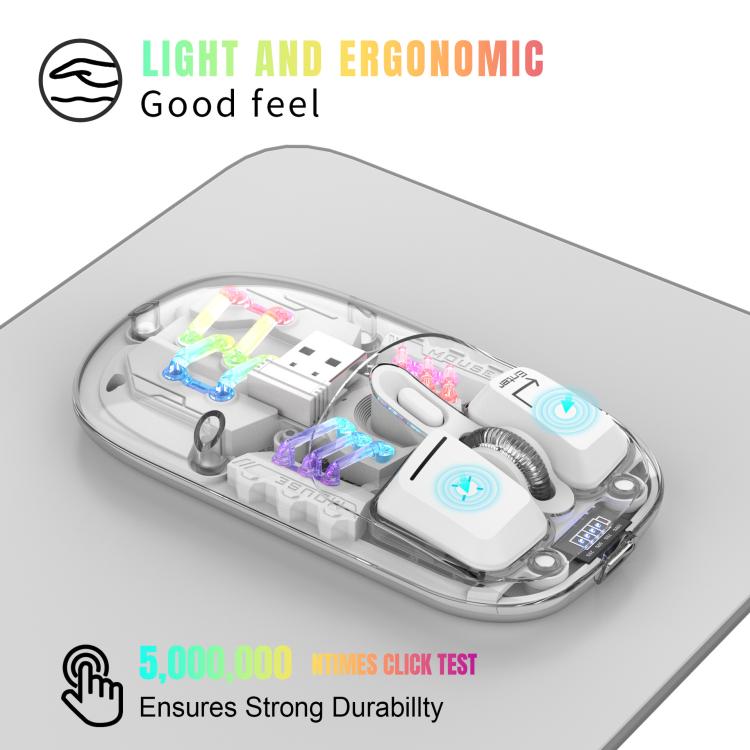 EDA008139501B_3.jpg@404a8210f8f9ac7bba576f423f4824bc