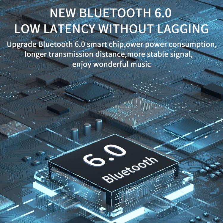 EDA0081448_B4.jpg@a96b205bf33510728dd5cec146e342dd