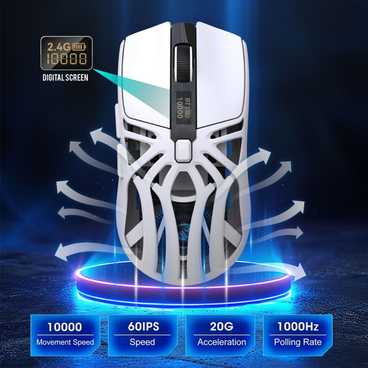 EDA008149301B_3.jpg@e764aed31bc6b35dc2e310feef1c46a0