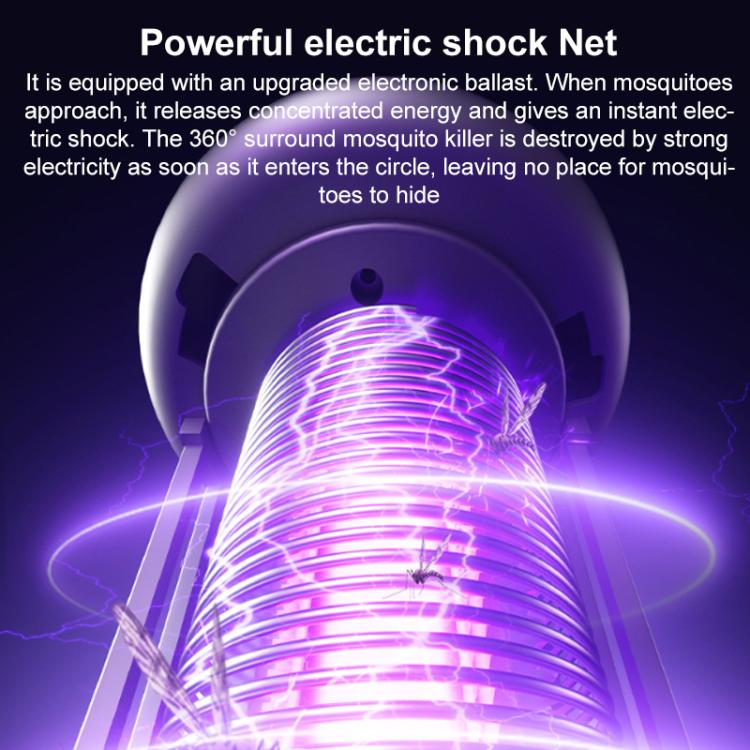 EDA0083246_B3.jpg@499a05c5d6b1c99f543876825ad1ed44