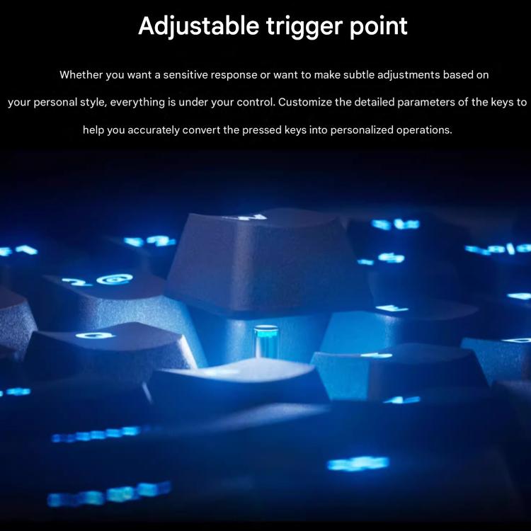 EDA0084461_B7.jpg@8b0d9e84ef8efa5eaea6bbf4eeca6b7a