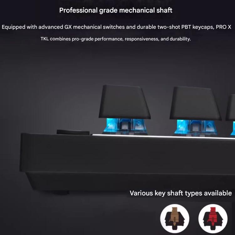 EDA0084469_B7.jpg@c959d713c8d9c6818bb66e6e8e22ece2