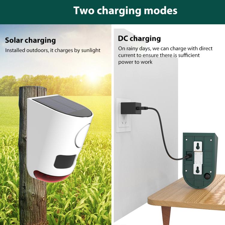 EDA008589601A_5.jpg@404366f047325950c6c3a5293a7b7276