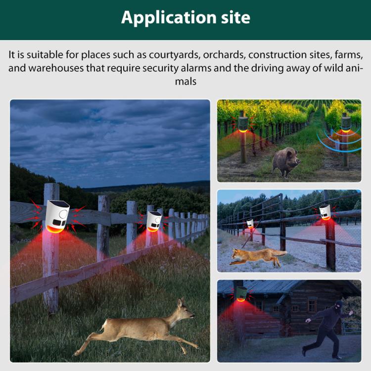 EDA008589601B_3.jpg@47b83683a918908c966cacffab8aea86