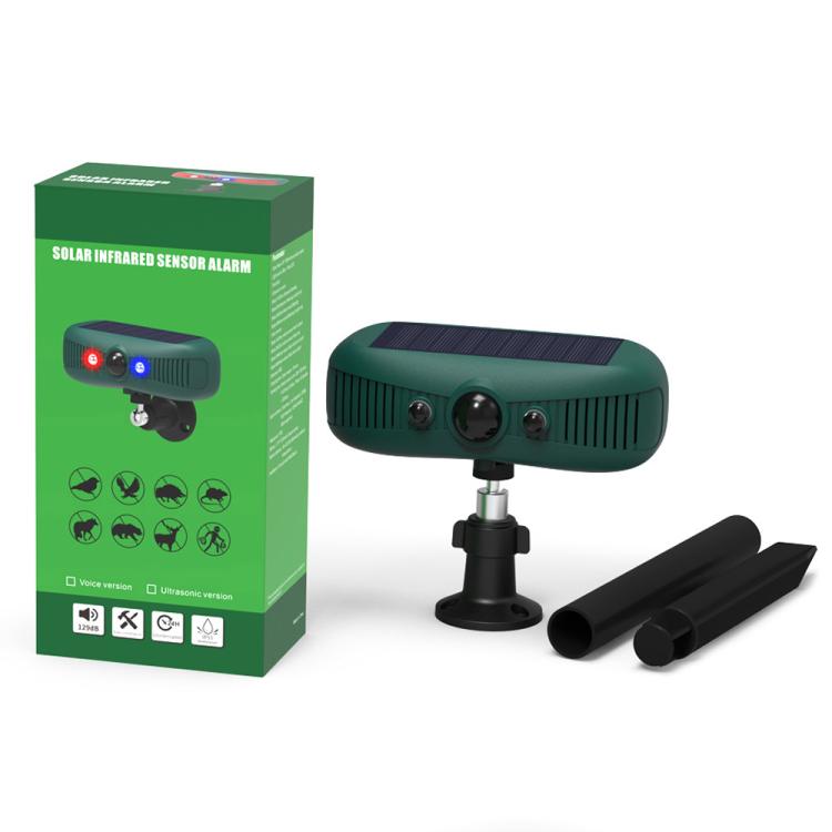 EDA0085927_8.jpg@baf6447de70079c86d6071290c7447b1