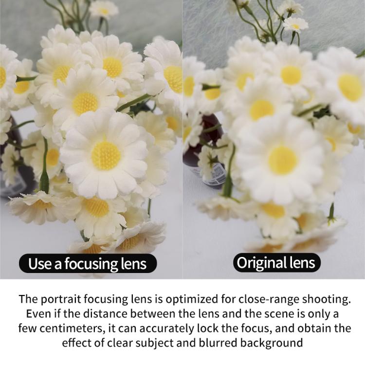 EDA0087464_B7.jpg@42fe8a899b8b46a390fbccb13f326f8f