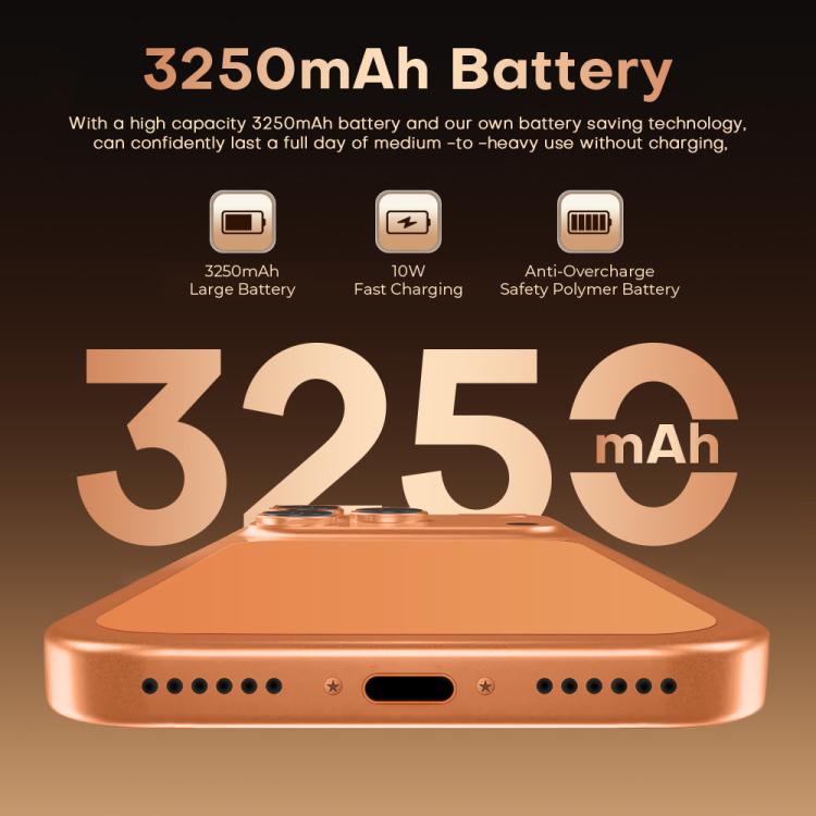 EDA0088197_B9.jpg@6bf215e499548bd5c2e93cdbae6f5a1f