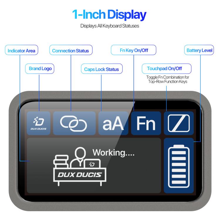 EDA008819904A_6.jpg@2f1daa8fc64d90160a5b488cab44f332