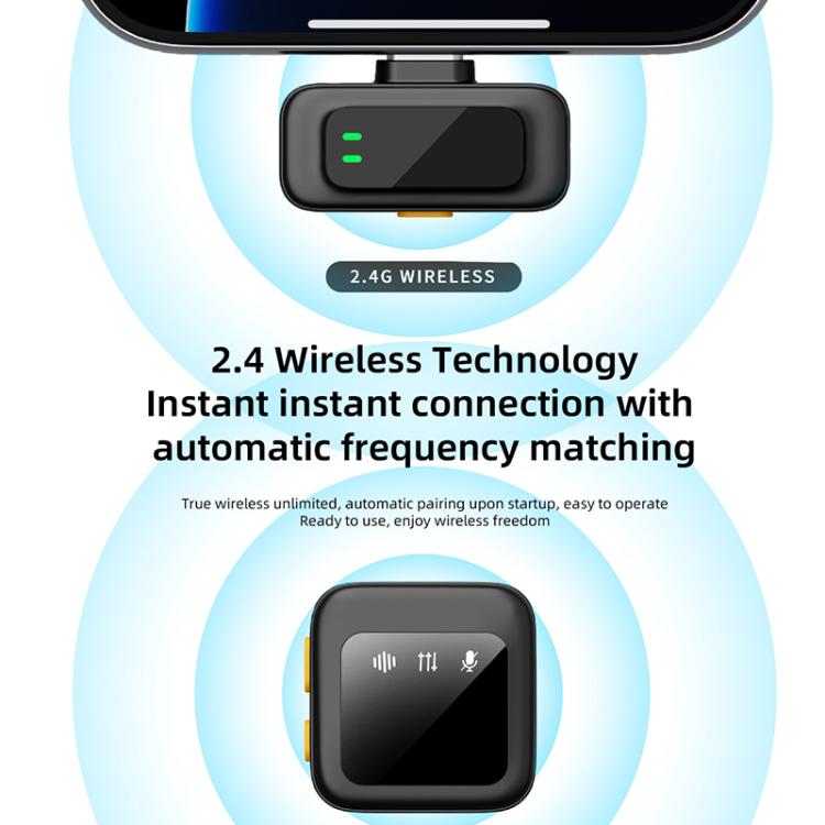 EDA0088509_B8.jpg@fd5479ac3d803e9207546a0ee383c7e2